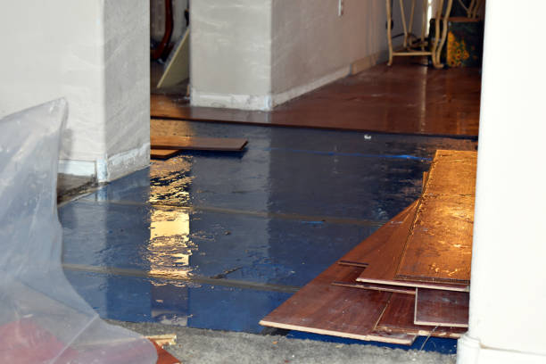 Professional Burst Pipe Cleanup technician working in Naples, UT